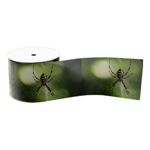 Golden garden spider grosgrain ribbon