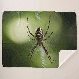 Golden garden spider photography sherpa blanket