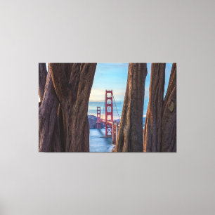 Golden Gate Bridge Through Cypress Trees  Canvas Print