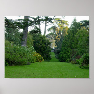 Golden Gate Park Poster