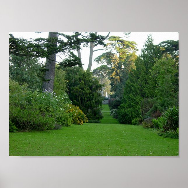 Golden Gate Park Poster (Front)