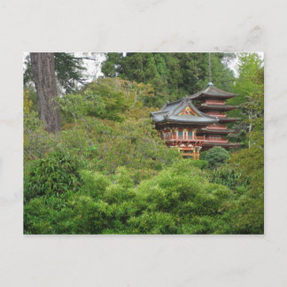 Golden Gate Park San Francisco Postcard