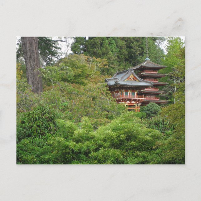 Golden Gate Park San Francisco Postcard (Front)