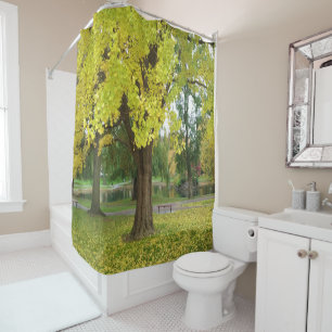 Golden Gingko Tree in the Fall Shower Curtain
