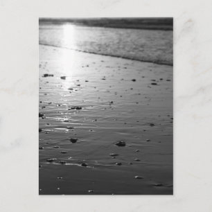 Golden Glassy Sand Grayscale Postcard