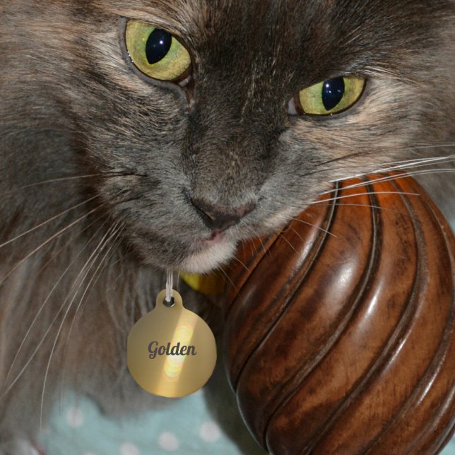 Golden Glow Light Refraction Personalised Bronze Pet Tag (Creator Uploaded)
