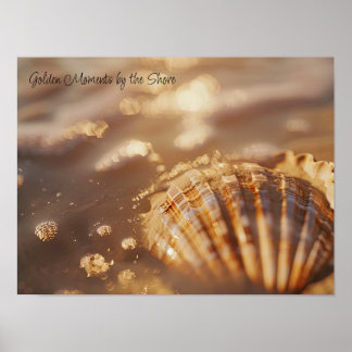 Golden Glow: Seashell in Sunlit Foam Poster