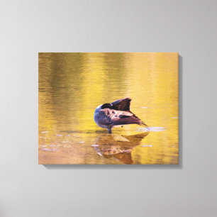 Golden Goose Canvas Print