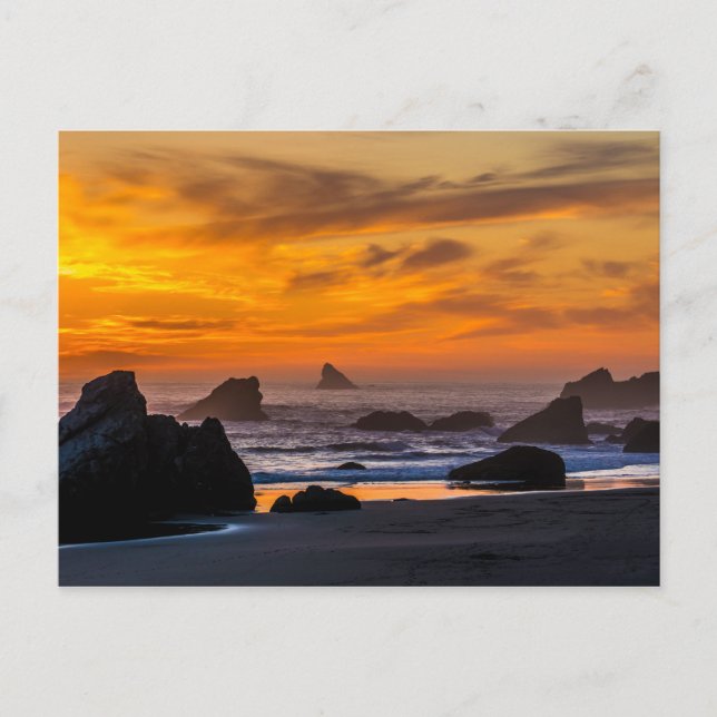 Golden Harris Beach Sunset - Oregon Postcard (Front)