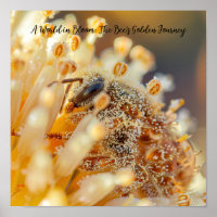 Golden Harvest: Macro Bee in Bloom