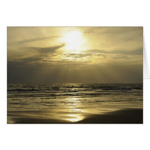 Golden Haze
