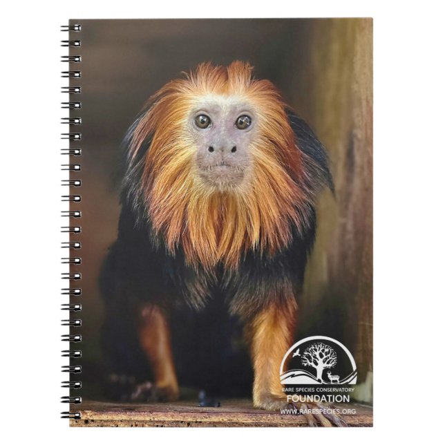 Golden Headed Lion Tamarin Notebook (Front)