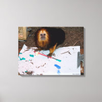 Golden-Headed Lion Tamarin Painting