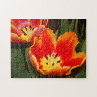 Golden Heart Tulip Puzzle, 11" x 14", 252 pieces Jigsaw Puzzle