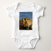 Golden Highlands: The Grace of Fawn-Colored Cows