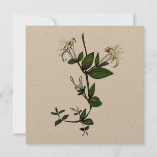 Golden Honeysuckle Greeting Card