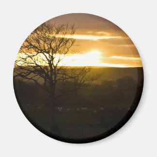 Golden Horizon Magnet