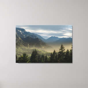 Golden Hour Misty Peaks Evergreen Forest Art Canvas Print