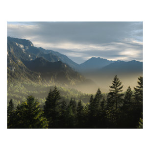 Golden Hour Misty Peaks Evergreen Forest Art Photo Print