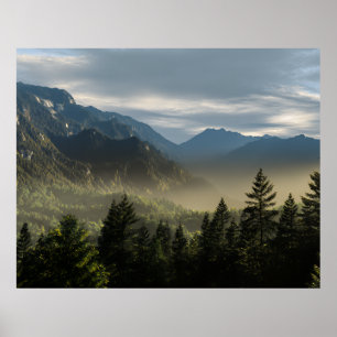Golden Hour Misty Peaks Evergreen Forest Art Poster