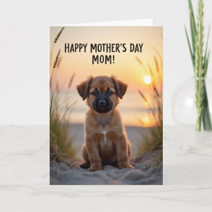 Golden Hour Puppy Love Card