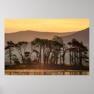 Golden Hour Reflections, Silhouetted Trees Photo Poster