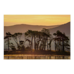 Golden Hour Reflections with Silhouetted Trees Poster