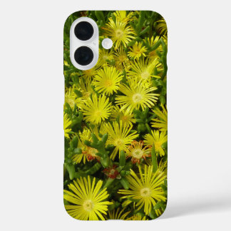 Golden Ice Plant Yellow Flowers iPhone 16 Case