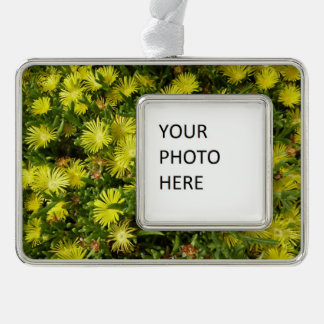 Golden Ice Plant Yellow Flowers Silver Plated Framed Ornament