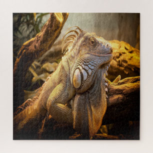 Golden Iguana Jigsaw Puzzle