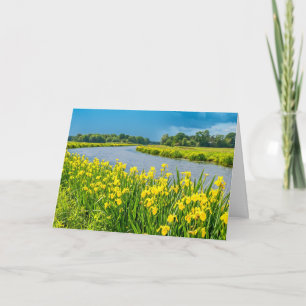 Golden Irises inspiring the symbol Fleur de Lis.  Card