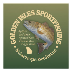 Golden Isles (redfish) Poster