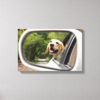 Golden Labrador In Rearview Mirror