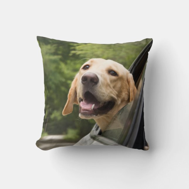 Golden Labrador In Rearview Mirror Cushion (Front)