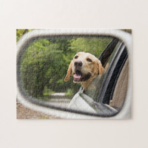 Golden Labrador In Rearview Mirror Jigsaw Puzzle