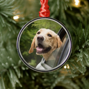 Golden Labrador In Rearview Mirror Metal Tree Decoration