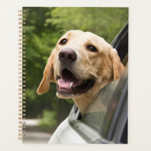 Golden Labrador In Rearview Mirror Planner