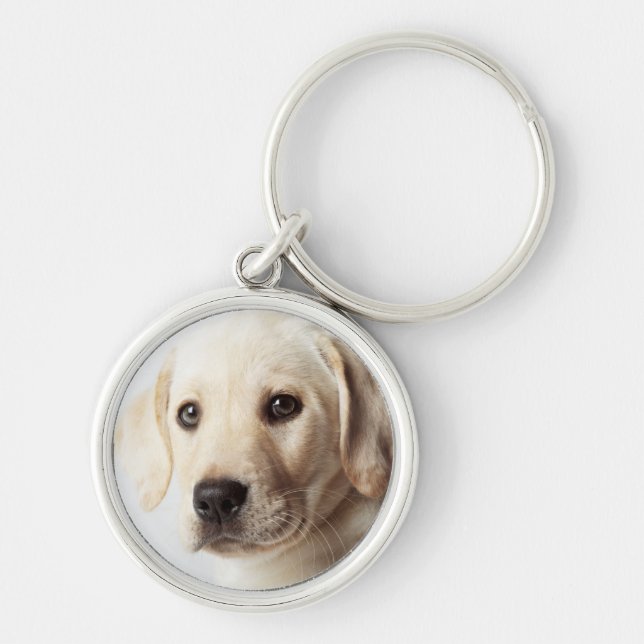 Golden Labrador Puppy Closeup Key Ring (Front)