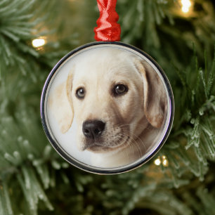 Golden Labrador Puppy Closeup Metal Tree Decoration