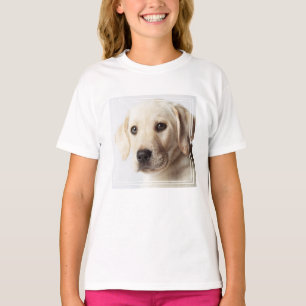 Golden Labrador Puppy Closeup T-Shirt