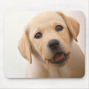 Golden Labrador Puppy Mouse Pad