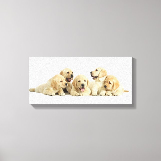 Golden Labrador Puppy Pile Canvas Print (Front)