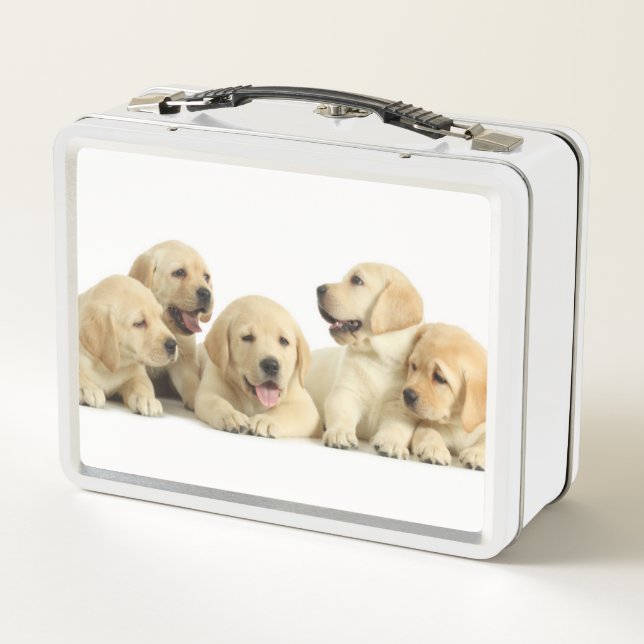 Golden Labrador Puppy Pile Metal Lunch Box (Back)