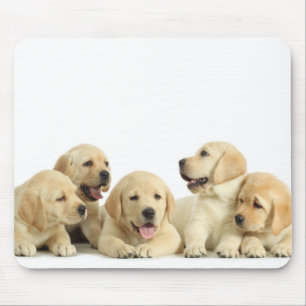 Golden Labrador Puppy Pile Mouse Pad