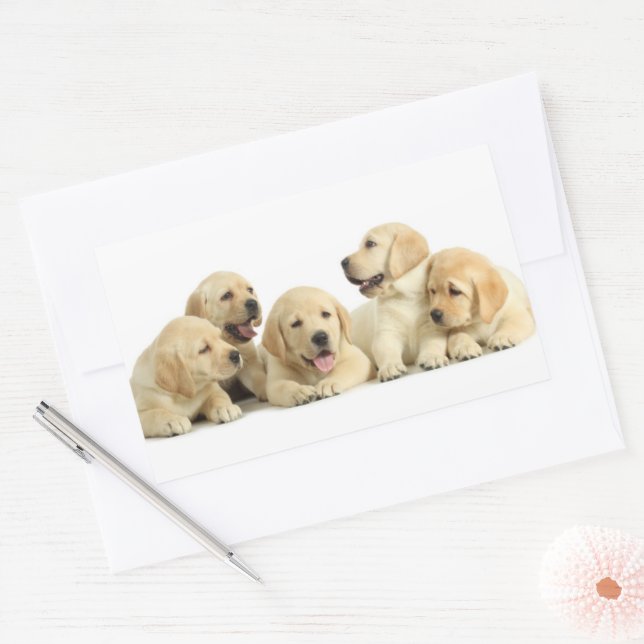 Golden Labrador Puppy Pile Rectangular Sticker (Envelope)
