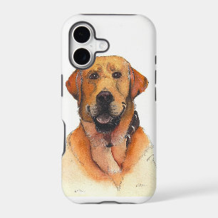 Golden Labrador Retriever