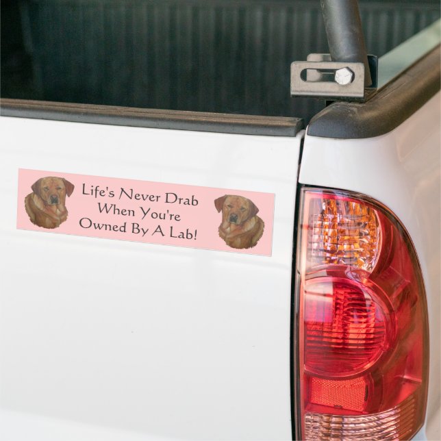 golden labrador retriever amusing dog slogan bumper sticker (On Truck)