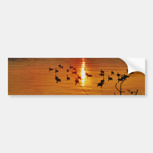 Golden lake sunset with geese bumper sticker