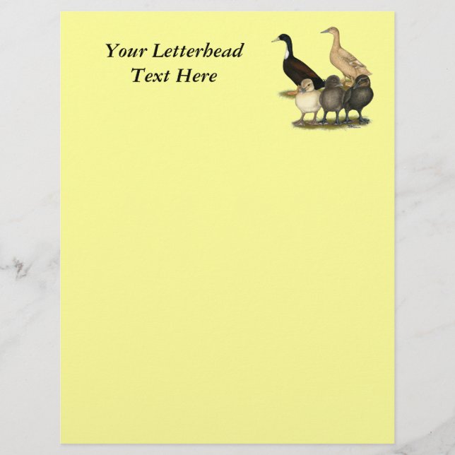 Golden Layer Duck Family (Front)