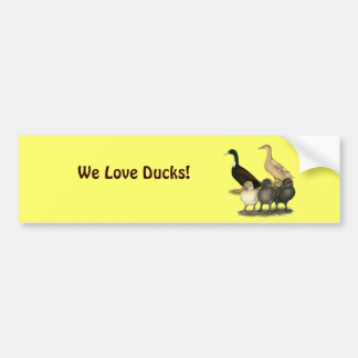 Golden Layer Duck Family Bumper Sticker